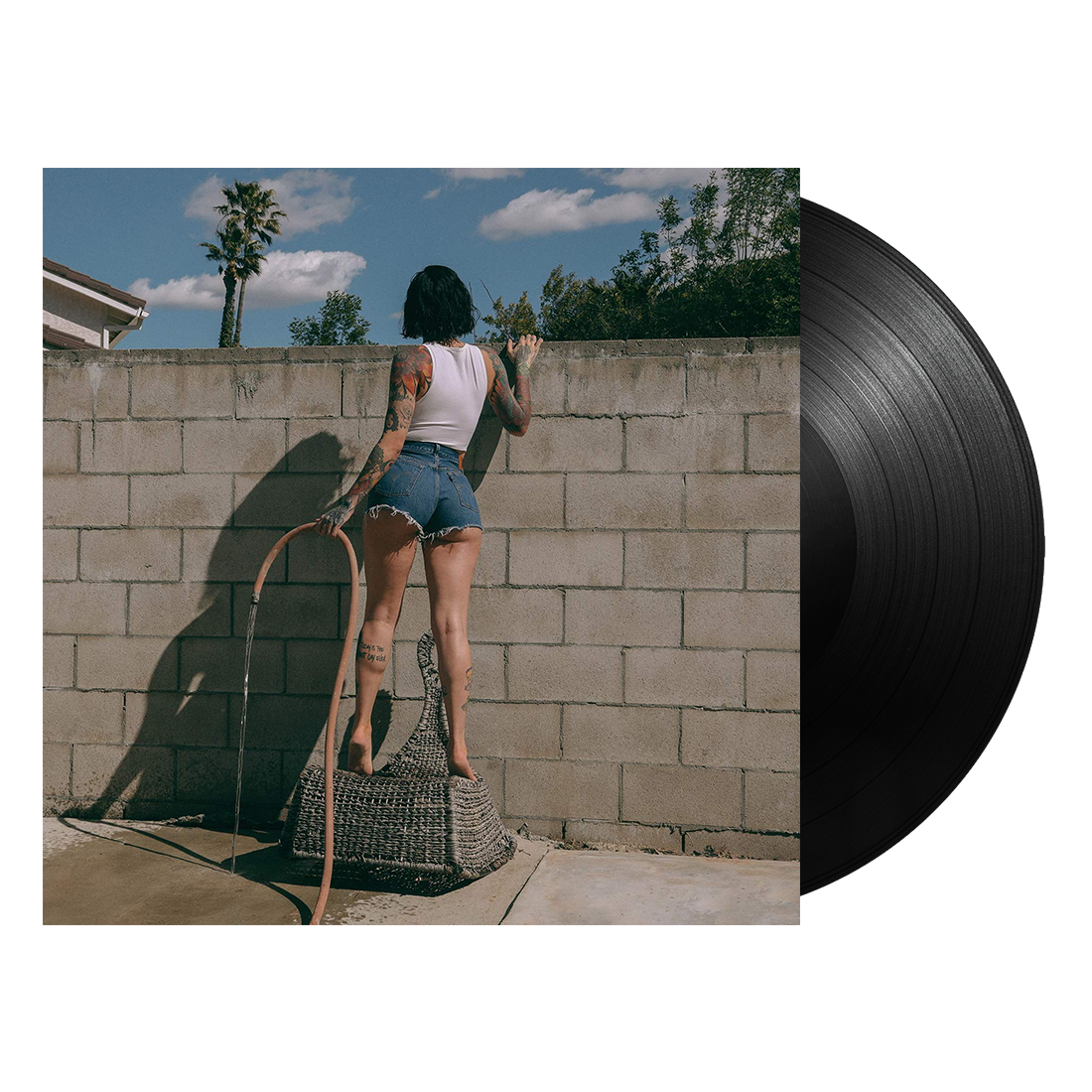it was good until it wasn’t vinyl